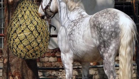 2-pcs-40-hay-net-for-horses-made-from-durable-nylon-rop-regulate-intake-of-hay-hence-improve-digestionfor-horses-goat-sh-3